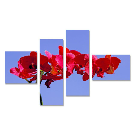 Модульная картина "Красная орхидея на голубом фоне" четверник 80х140 Y211