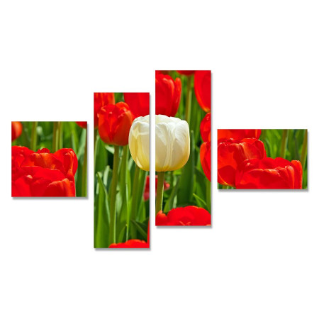 Модульная картина "Белый тюльпан с красными" четверник 80х140 Y 135