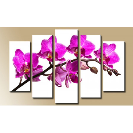 Модульная картина "Ветка орхидеи" 80х140 М938