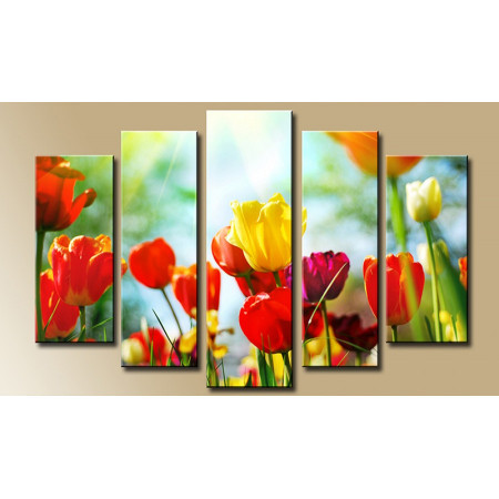 Модульная картина "Разноцветные тюльпаны на солнце" 80х140 М921