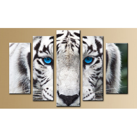 Модульная картина "Голубоглазый тигр" 80х140 М826