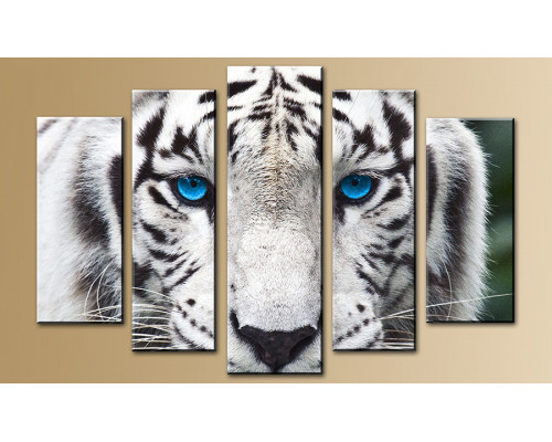 Модульная картина "Голубоглазый тигр" 80х140 М826