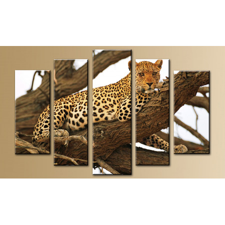 Модульная картина "Леопард на дереве" 80х140 М819