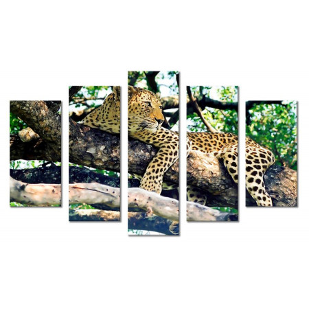 Модульная картина "Леопард в тени" 80х140 М2237