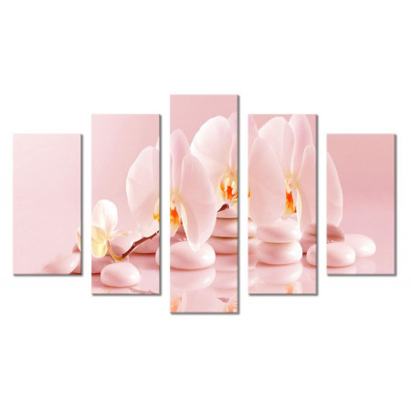 Модульная картина "Нежно-розовые орхидеи" 80х140 М2103