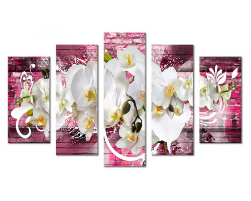 Модульная картина "Белые орхидеи на фоне розовой стены" 80х140 М1916