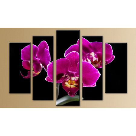 Модульная картина "Божественные орхидеи" 80х140 M704