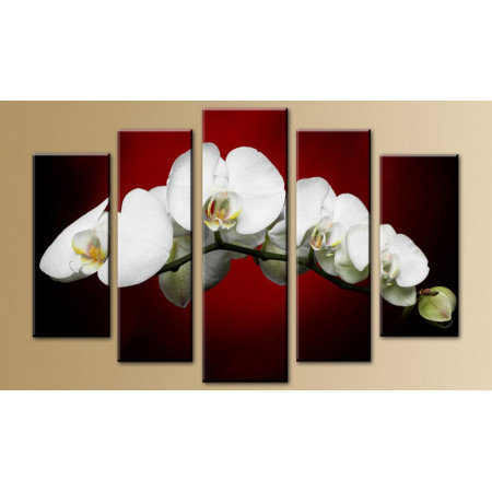 Модульная картина "Белые орхидеи на красно-черном фоне" 80х140 M680