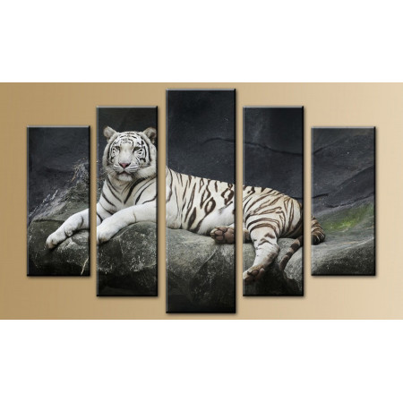 Модульная картина "Величественный белый тигр" 80х140 M657