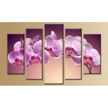 Модульная картина "Веточка орхидеи" 80х140 M650