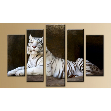 Модульная картина "Белый тигр" 80х140 M638