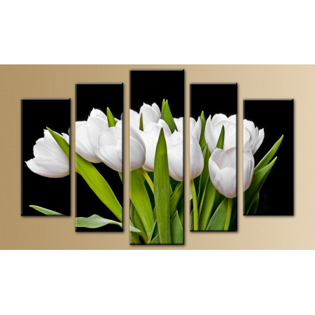 Модульная картина "Букет из белых тюльпанов на черном фоне" 80х140 M632