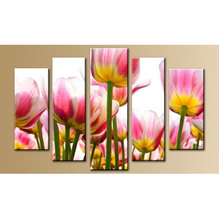Модульная картина "Нежно-розовые тюльпаны" 80х140 M631