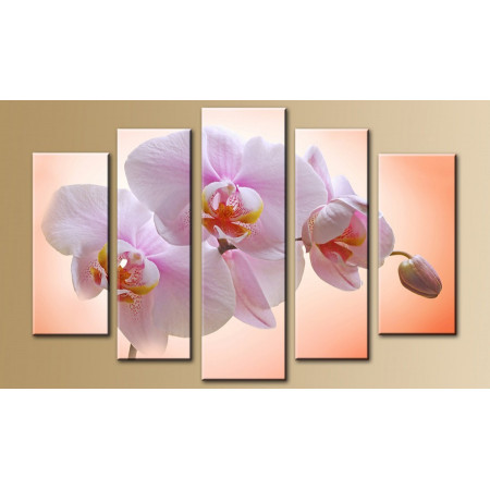 Модульная картина "Нежная орхидея" 80х140 M626