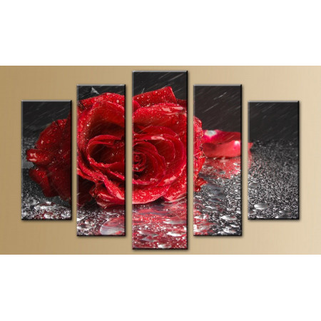 Модульная картина "Роза под дождем" 80х140 M597