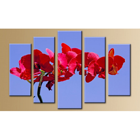 Модульная картина "Красная орхидея на голубом фоне" 80х140 M518