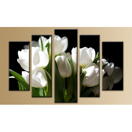Модульная картина "Белые тюльпаны на черном" 80х140 M481