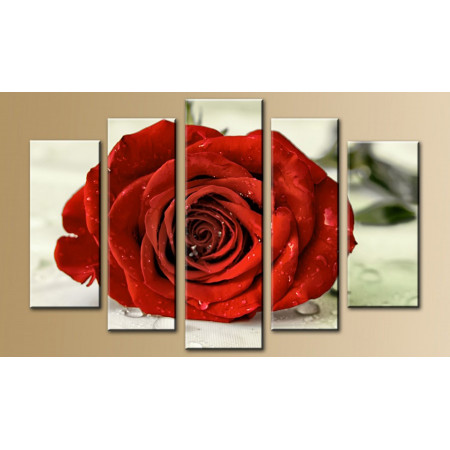 Модульная картина "Красная роза" 80х140 M439