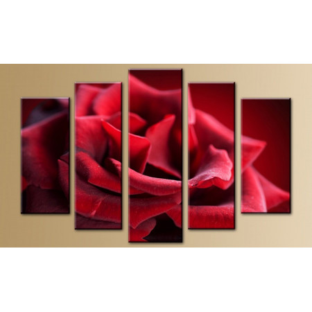 Модульная картина "Нежная красная роза" 80х140 M392