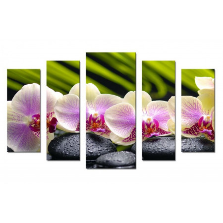 Модульная картина "Восхитительные орхидеи" 70х120 Ш827
