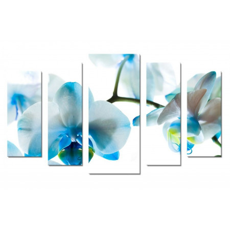 Модульная картина "Голубая орхидея" 70х120 Ш822