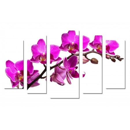 Модульная картина "Ветка орхидеи" 70х120 Ш821