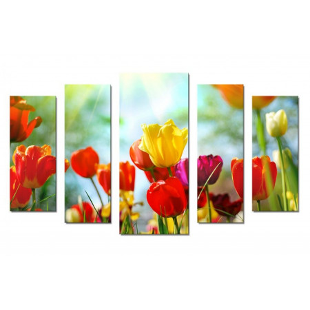 Модульная картина "Разноцветные тюльпаны на солнце" 70х120 Ш802