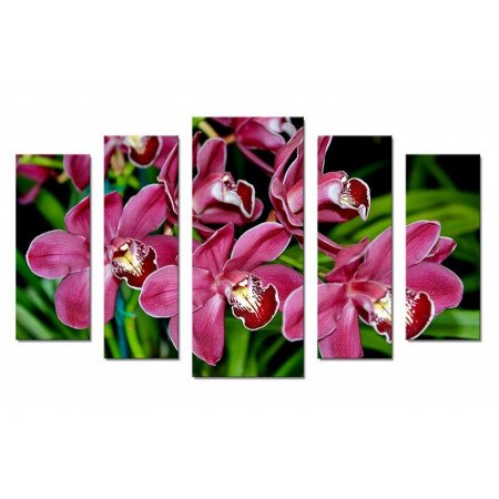 Модульная картина "Бордовые орхидеи" 70х120 Ш796