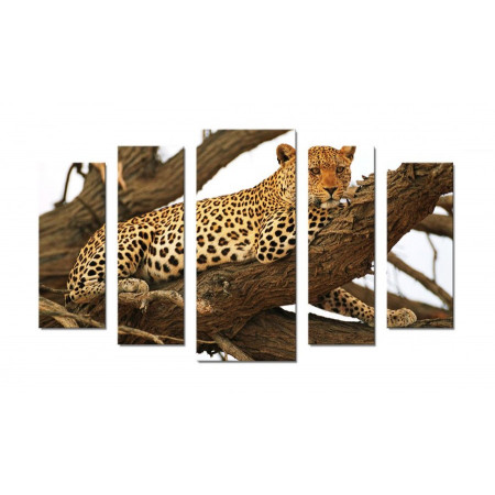 Модульная картина "Леопард на дереве" 70х120 Ш755