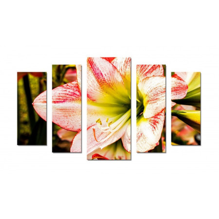 Модульная картина "Лилии нежный цветок" 70х120 Ш656