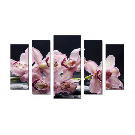 Модульная картина "Ветка сиреневой орхидеи" 70х120 Ш651