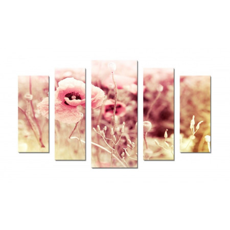 Модульная картина "Нежные розовые маки" 70х120 Ш613