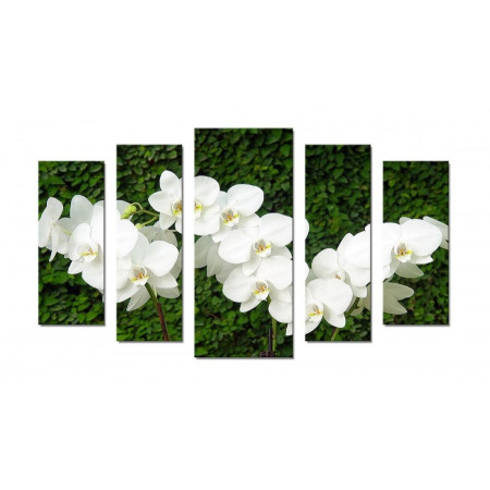 Модульная картина "Веточки белых орхидей" 70х120 Ш575