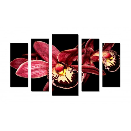 Модульная картина "Бордовая орхидея" 70х120 Ш56