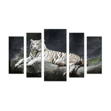 Модульная картина "Величественный белый тигр" 70х120 Ш547