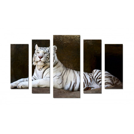Модульная картина "Белый тигр" 70х120 Ш543