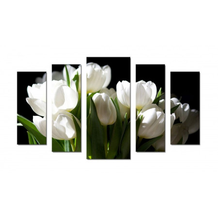 Модульная картина "Белые тюльпаны на черном" 70х120 Ш52