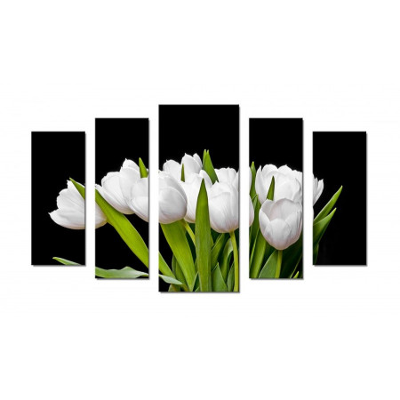 Модульная картина "Букет из белых тюльпанов на черном фоне" 70х120 Ш482