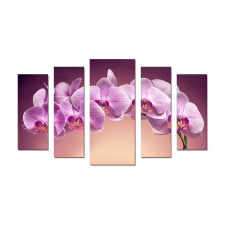 Модульная картина "Веточка орхидеи" 70х120 Ш480