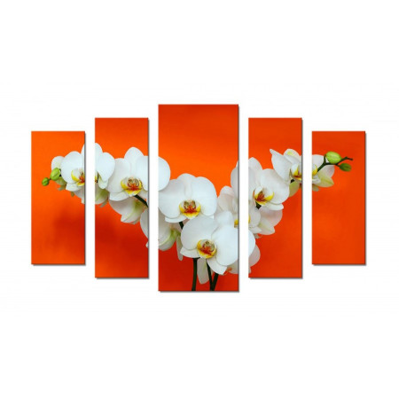 Модульная картина "Веточки орхидеи на оранжевом" 70х120 Ш474