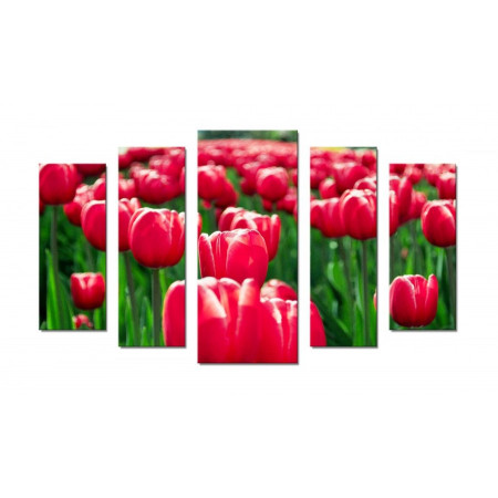 Модульная картина "Долина розовых тюльпанов" 70х120 Ш430