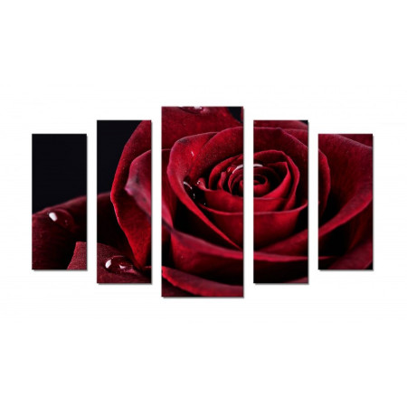 Модульная картина "Бархатная роза" 70х120 Ш398