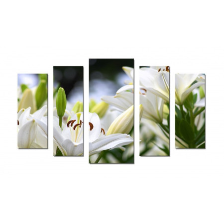 Модульная картина "Белые лилии" 70х120 Ш385