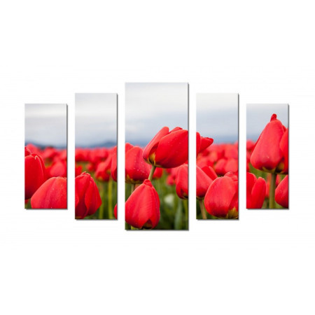 Модульная картина "Красные тюльпаны"70х120 Ш307