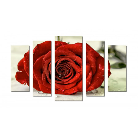 Модульная картина "Красная роза" 70х120 Ш305