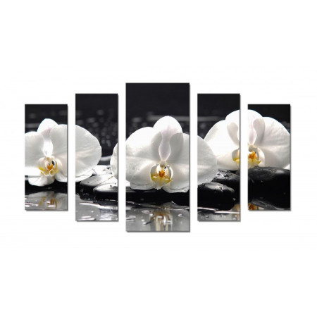 Модульная картина "Белые орхидеи на черных камнях" 70х120 Ш303