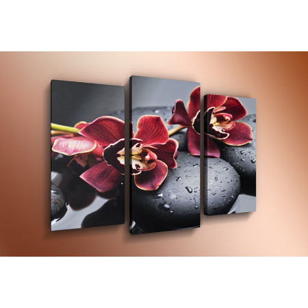 Модульная картина "Бордовые цветки орхидеи на камнях" 60х80 ТР624