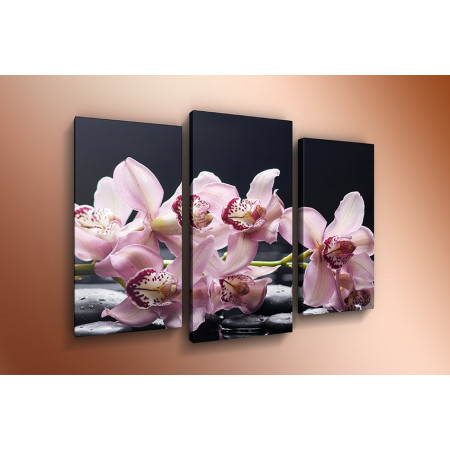 Модульная картина "Ветка сиреневой орхидеи" 60х80 ТР622