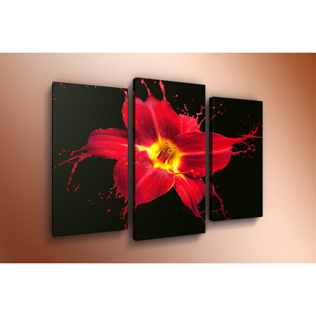 Модульная картина "Красная лилия брызги" 60х80 ТР558