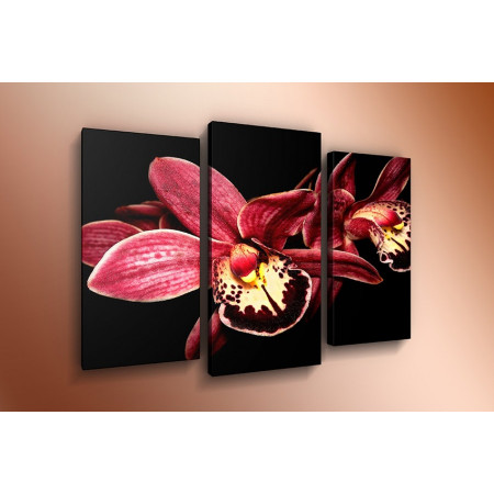 Модульная картина "Бордовая орхидея" 60х80 ТР52